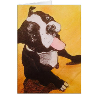 Amarillo de Boston Terrier que mira para arriba