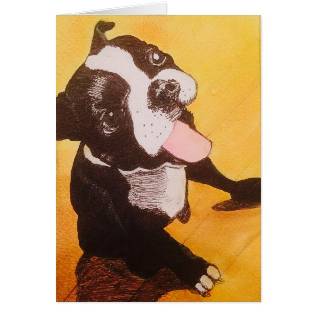 Amarillo de Boston Terrier que mira para arriba (Frente)