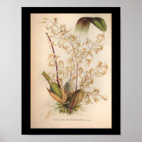 Amarillo de impresión de flores de orquídeas de ép