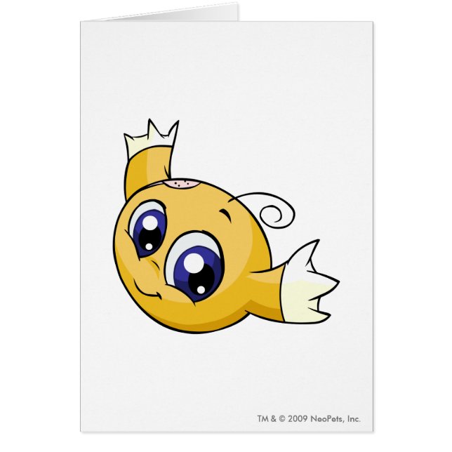 Amarillo de Kiko (Frente)