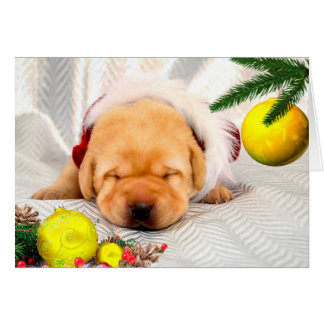 Amarillo de la semana 2 de la gratitud