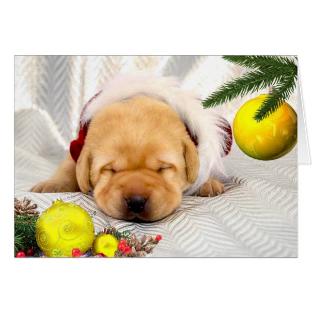 Amarillo de la semana 2 de la gratitud (Anverso (Horizontal))