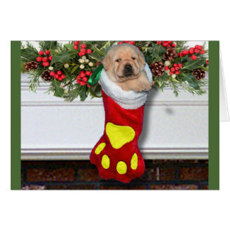 Amarillo de la semana 3 de la gratitud