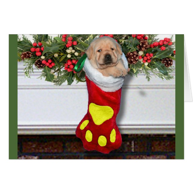 Amarillo de la semana 3 de la gratitud (Anverso (Horizontal))