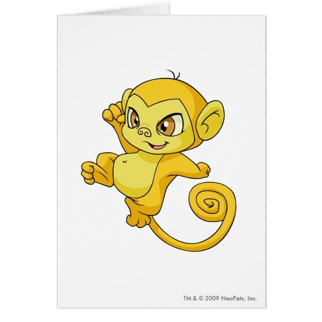 Amarillo de Mynci (Frente)