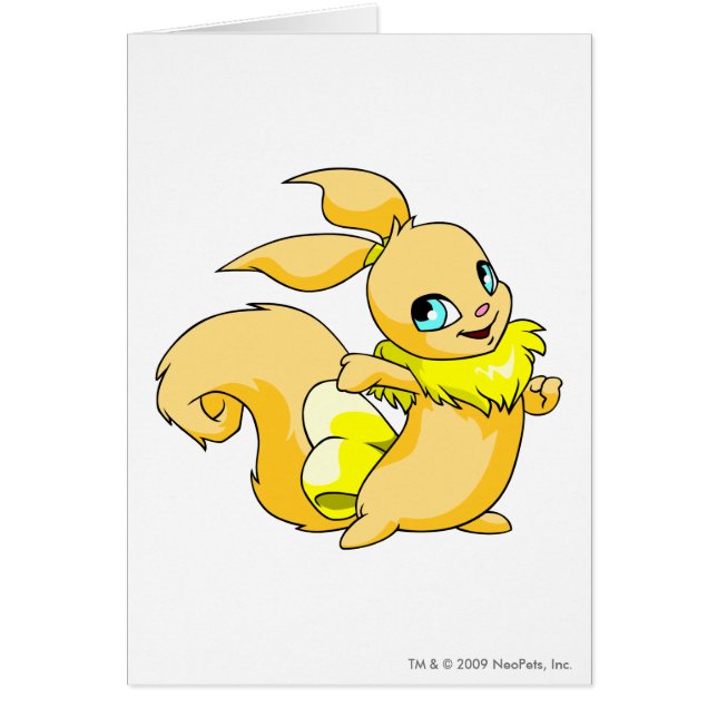 Amarillo de Usul (Frente)