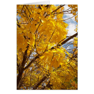 Amarillo Majestad de Otoño
