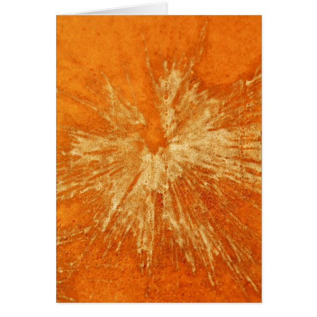 Amarillo sobre Naranja Paintball (Frente)