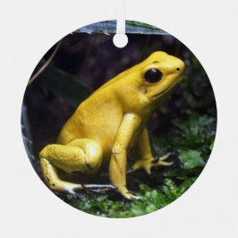 Amarillo veneno Dart Frog Ornamento Metalizado