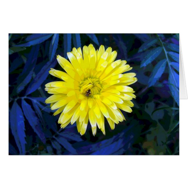 Amarillo y azul (Anverso (Horizontal))