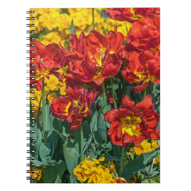 Amarillo y rojo florece el cuaderno (Frente)
