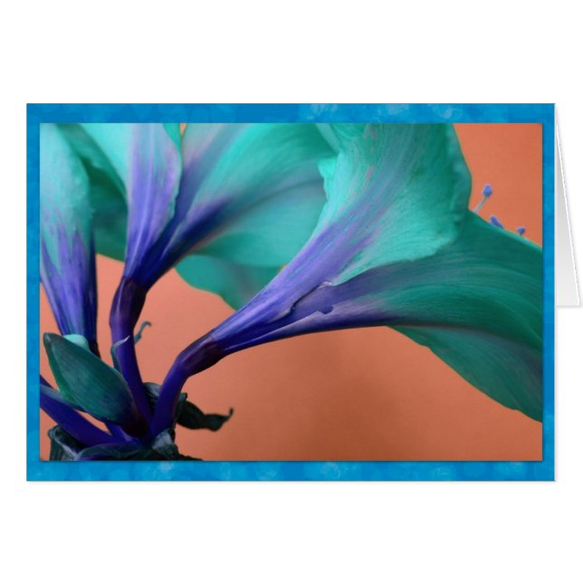 Amaryllis azul (Anverso (Horizontal))