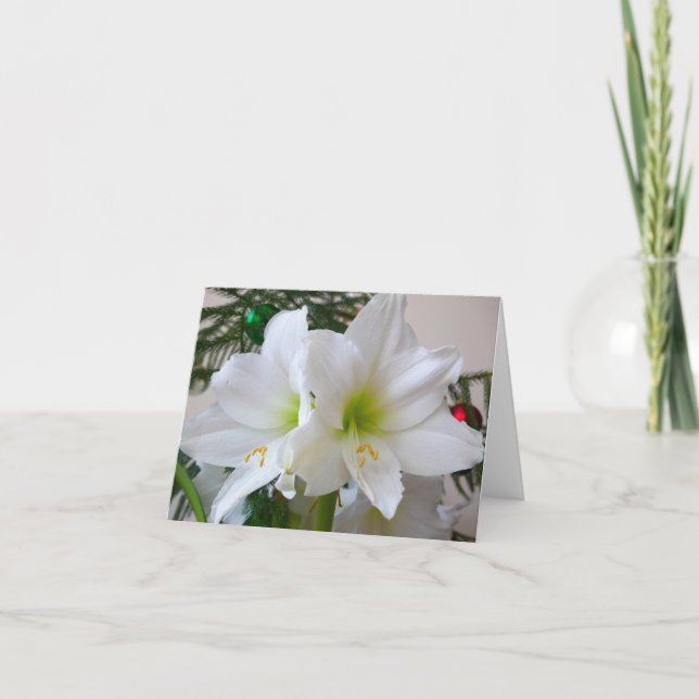 Amaryllis blanco y árbol de Navidad (Anverso)