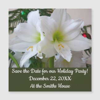 Amaryllis blanco y árbol de Navidad