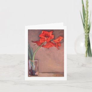 Amaryllis del navidad