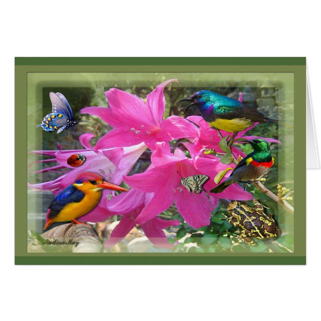 Amaryllis Fiesta (Anverso (Horizontal))