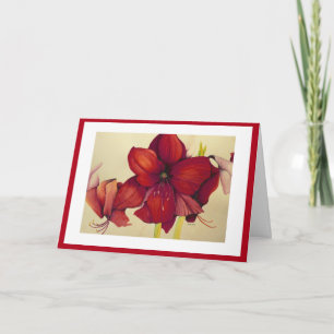 Amaryllis rojo del navidad que pinta la tarjeta