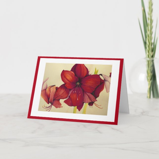 Amaryllis rojo del navidad que pinta la tarjeta (Anverso)