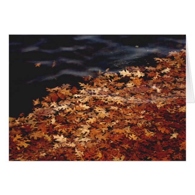 Amass (Anverso (Horizontal))