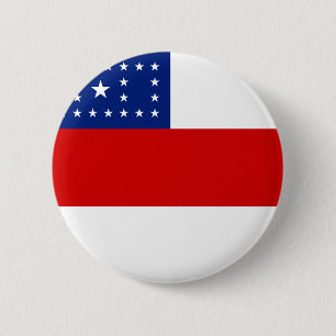 Amazonas, botón de bandera estatal brasileña