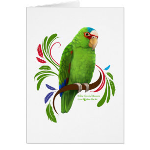 Amazonía con frontis blanca