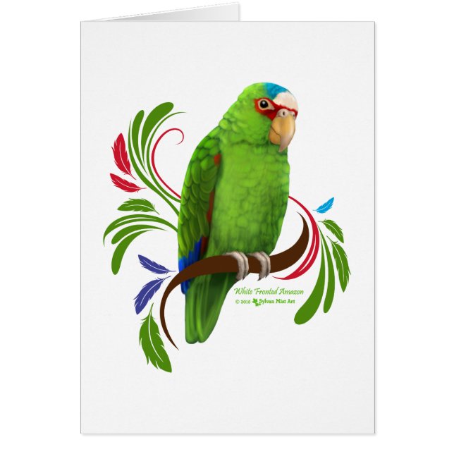 Amazonía con frontis blanca (Frente)