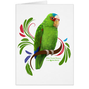 Amazonía con frontis blanca