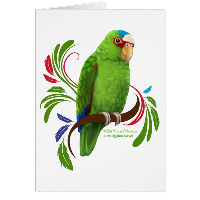 Amazonía con frontis blanca (Frente)