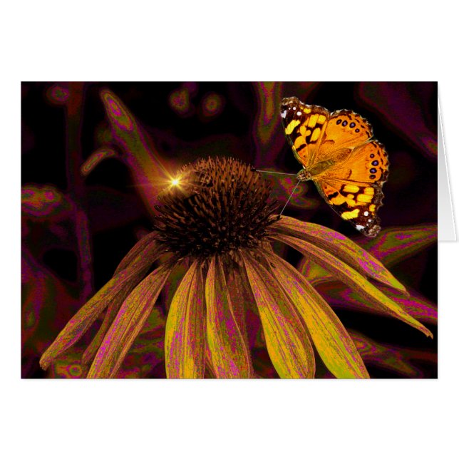 Amber (Anverso (Horizontal))