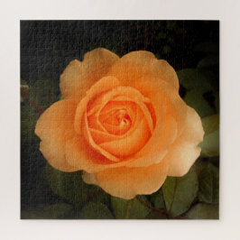 Amber Flush Rosa Jigsaw Puzzle