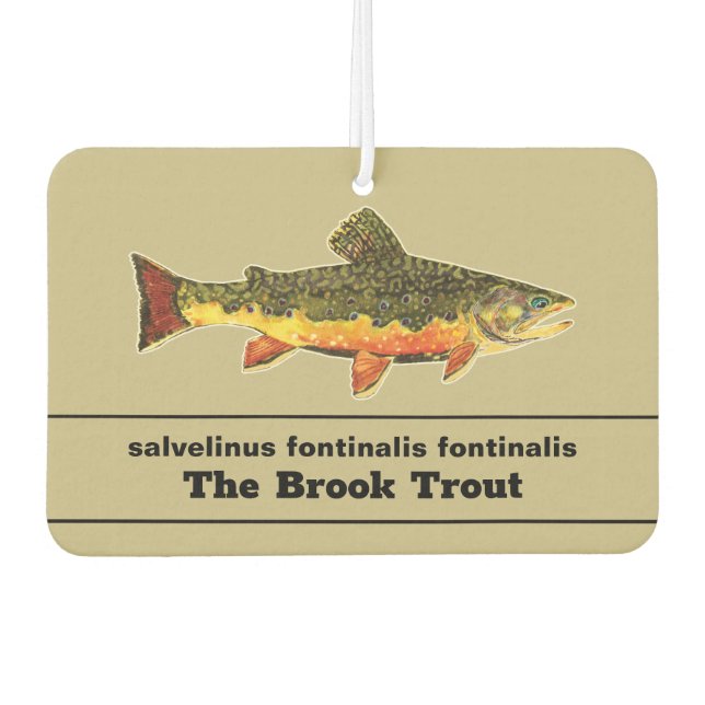 AMBIENTADOR ... (Anverso)