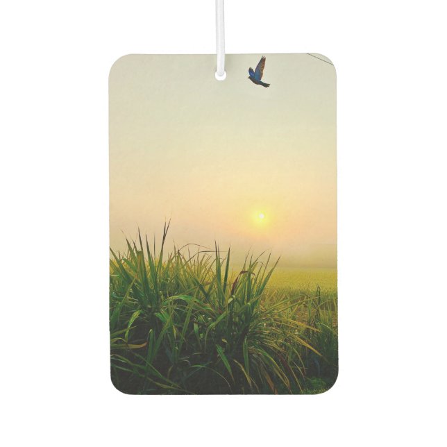 ambientador (Anverso)