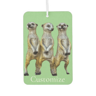 Ambientador 3 Meerkats permanentes Thunder_Cove