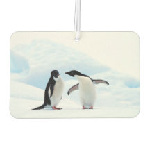 Adelie Penguins