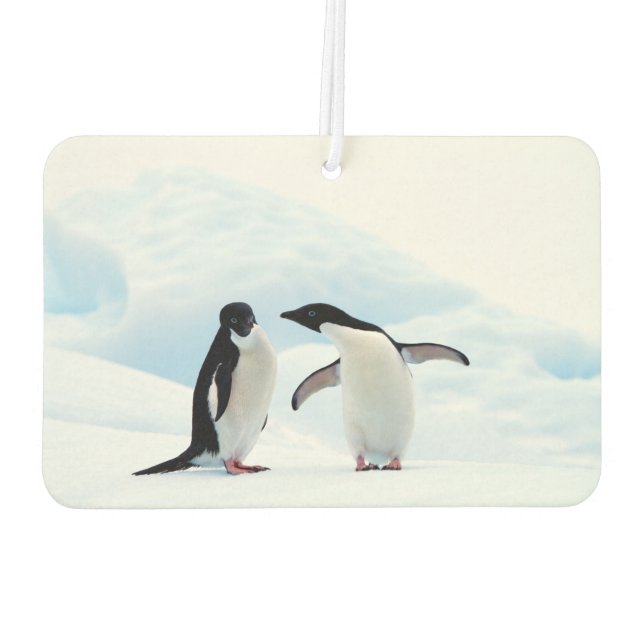 Ambientador Adelie Penguins (Reverso)