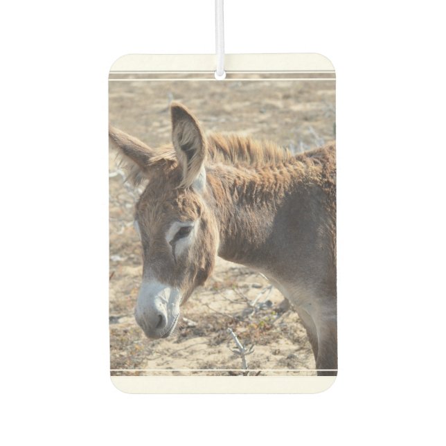 Ambientador Adorable Donkey (Anverso)