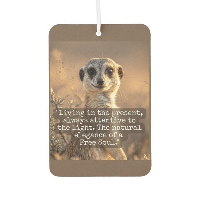 Ambientador Adventurous Meerkat Living (Anverso)