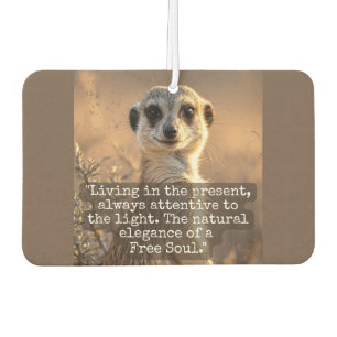 Ambientador Adventurous Meerkat Living