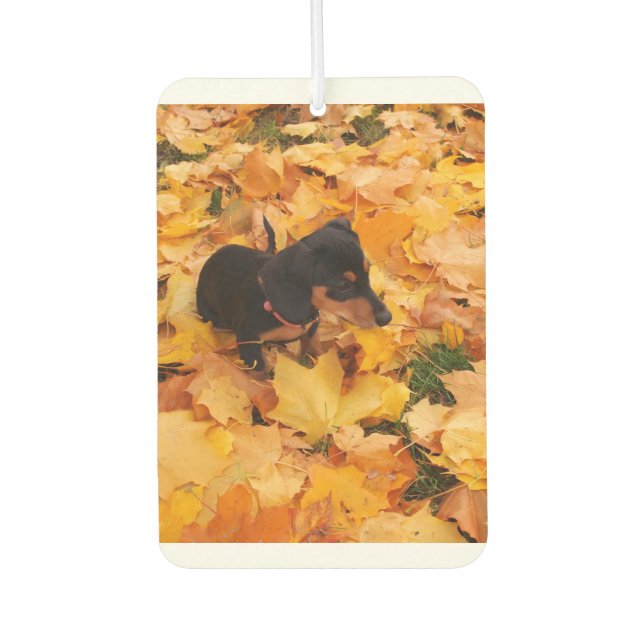 Ambientador Afilador de Dachshund (Anverso)