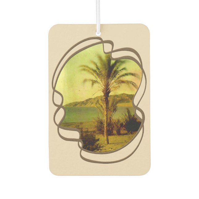 Ambientador Agua Bebé Vintage Palm Air Freshener (Anverso)