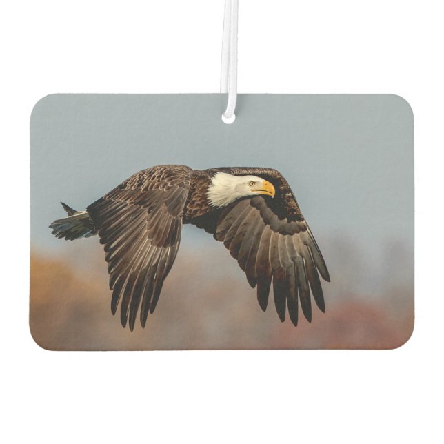 Ambientador Águila calva en vuelo (Reverso)