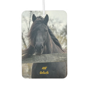 Ambientador AHT Horse Rescue Goliath