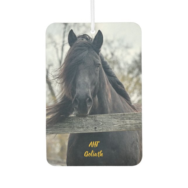 Ambientador AHT Horse Rescue Goliath (Anverso)