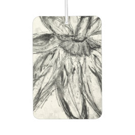 Ambientador Air Freshener