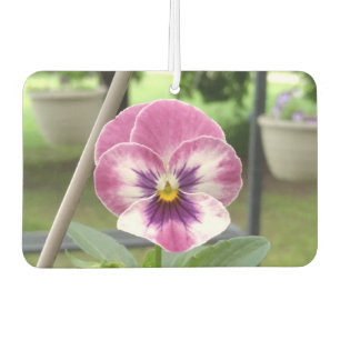 Ambientador Aire Aire Abierto Pansy Car Freshener (Rosa y Púrp