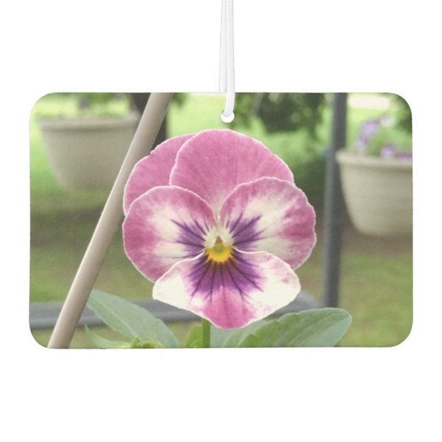Ambientador Aire Aire Abierto Pansy Car Freshener (Rosa y Púrp (Anverso)