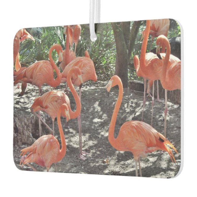Ambientador Aire fresco de Flamingos Rosados (Izquierda)