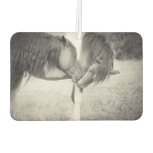 Ambientador Aire limpio para caballos Freshener