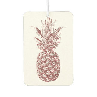Ambientador Aire tropical de piña Freshener