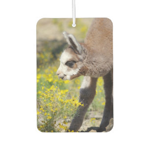 Ambientador Alpaca Air Freshener Rossi